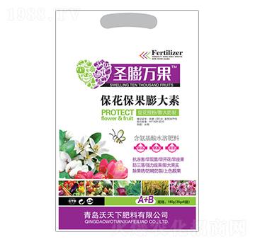 �������������-ʥ���f(w��n)��-������