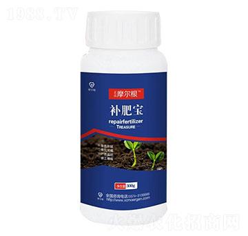 �a(b��)�ʌ�-Ħ����