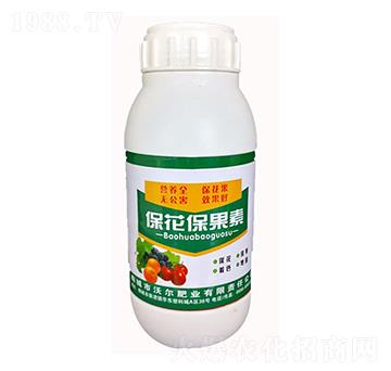 ����������-�֠��ʘI(y��)