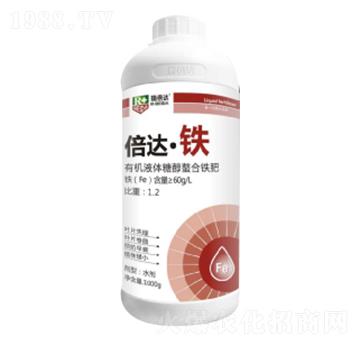 1000g���_(d��)���F-���_(d��)