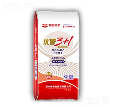 �������19-21-5-��(y��u)��3+1-�м�����