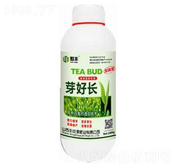 ѿ���L-�S��Դ