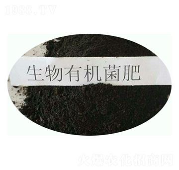 �����ЙC����-���|�ʘI(y��)