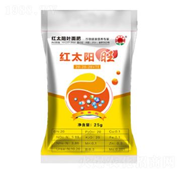 �t̫��~���-��-�ư�