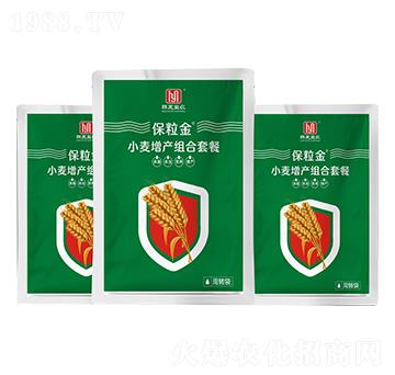 С�����a(ch��n)�M���ײ�-������-�n�����r