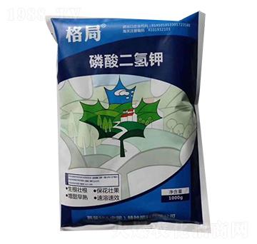 �����������-�����