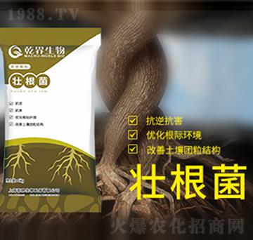 �Ѹ���-Ǭ������