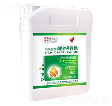 ����������\�}�V�F-�S������