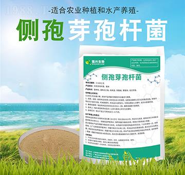 ��(c��)��ѿ�ߗU��-��(qi��ng)�d����