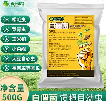 �׽���ԭ��-��(qi��ng)�d����