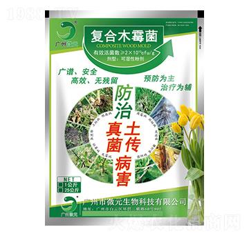 ��(f��)��ľù��-΢Ԫ����