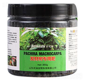 �l(f��)ؔ�䌣�÷���-ؐ��ʩ-�r������