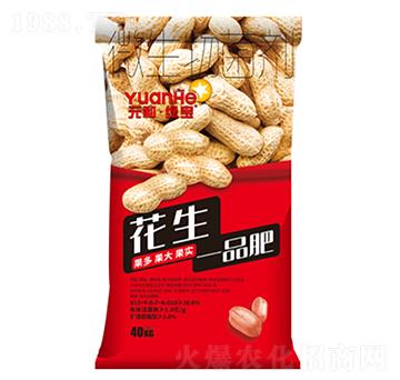 ����һƷ��-Ԫ���r(n��ng)�I(y��)