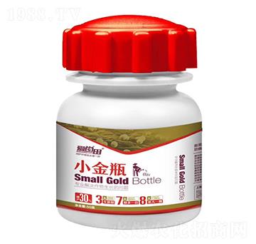 ������С��ƿ-�������