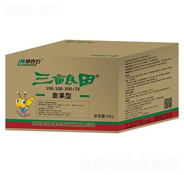 �������������100-100-300+TE-�G�ķ�