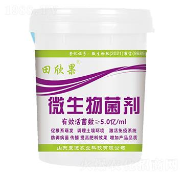 ΢�������-������-�����