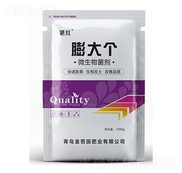 ΢�������-���-�����