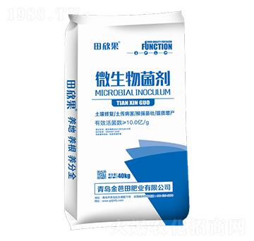 40kg΢�������-������-�����