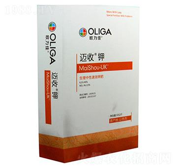 ��������⛷�-�~���-�W����