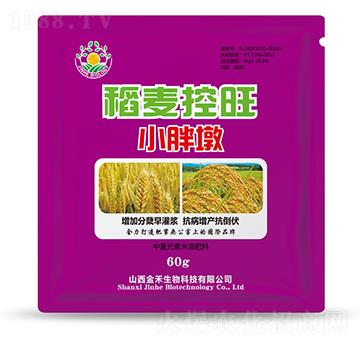 ��������С�ֶ�-�������