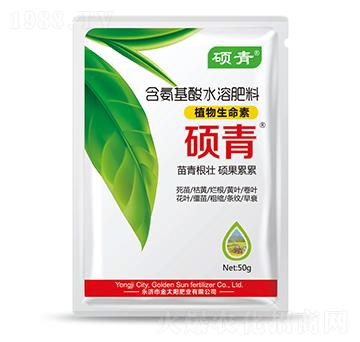 ֲ��������-�T��-�������