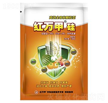 ��Чȫ�����w���͹�-�t�f(w��n)��