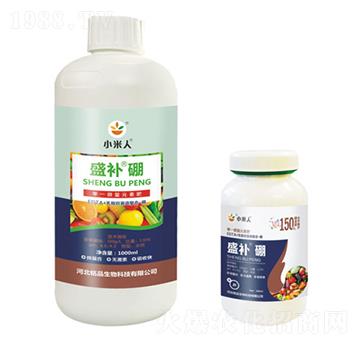 ƿ�bʢ�a��-С����-�Ʒ����