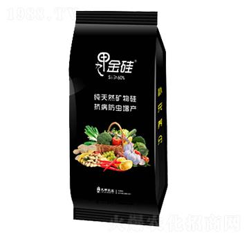 �ż׽��-�ż��r(n��ng)�I(y��)