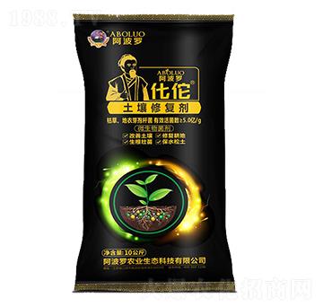 �����ޏ̈́�-��٢-�����_