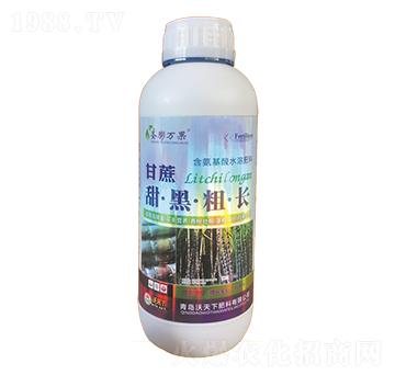 1000ml������ڴ��L(zh��ng)-ʥ���f��-������