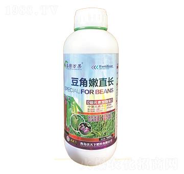 ������ֱ�L(zh��ng)-ʥ���f��-������