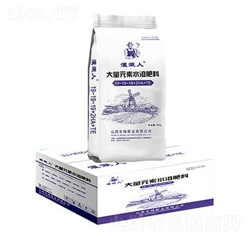 ����Ԫ��ˮ�ܷ���19-19-19+2HA+TE-�����-�|�\�ʘI(y��)