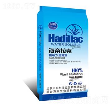 �˄�(d��ng)��׷ʩ��-��������-����