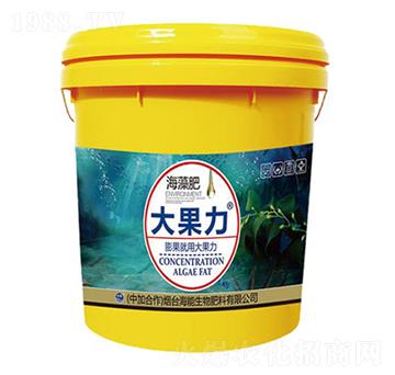 �����-�����-����