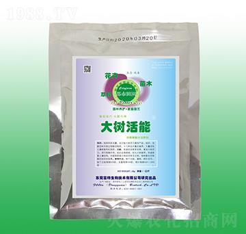 ������-�����l(f��)��������-��������