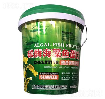 ̼ø�����~����-̩������