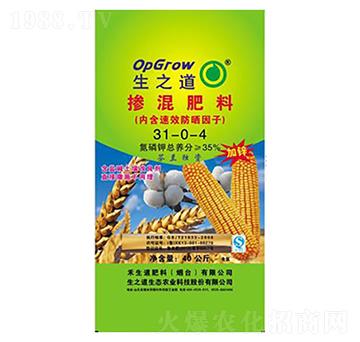 ��ጓ������31-0-4-��֮��