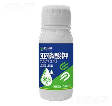 �������0-525-375+TE-�ʘ�(l��)��-�׶���