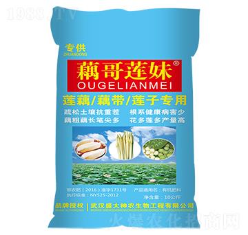 藕哥蓮妹-盛大神農(nóng)