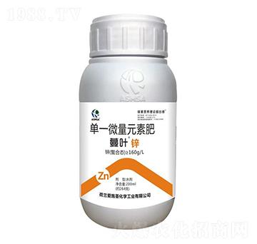 ���~�\��-��ʩ��