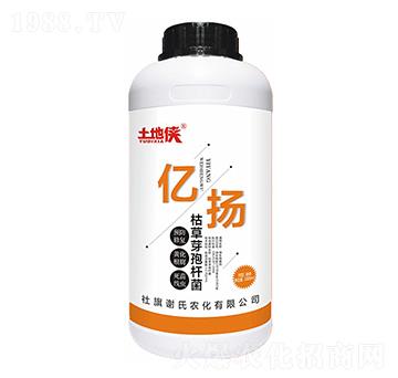 �|�P(y��ng)���ݲ�ѿ�ߗU����-���؂b-�x���r(n��ng)��