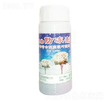 ֲ�������-������