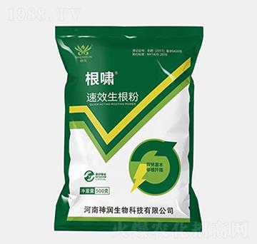 ���[������-���r�I(y��)