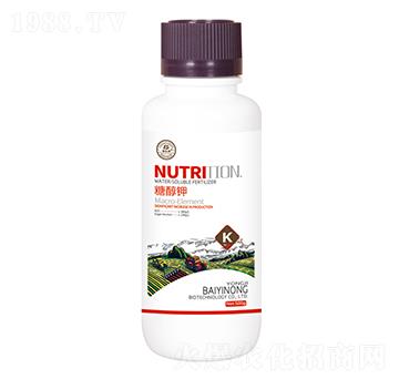 �Ǵ��-�ۃ|�r����