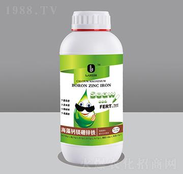 �����}�V���\�F��1000ml��-��������