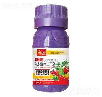 �������������-�����S