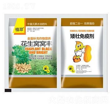 �����C�C�S-�����S