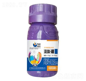 ���w��-�����S