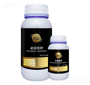 �������-�е�-���S����