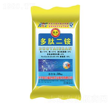 ���Ķ��@-���(y��ng)-���_(d��)��